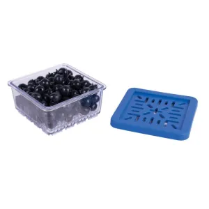 Berry Fresh Produce Box Half Pint