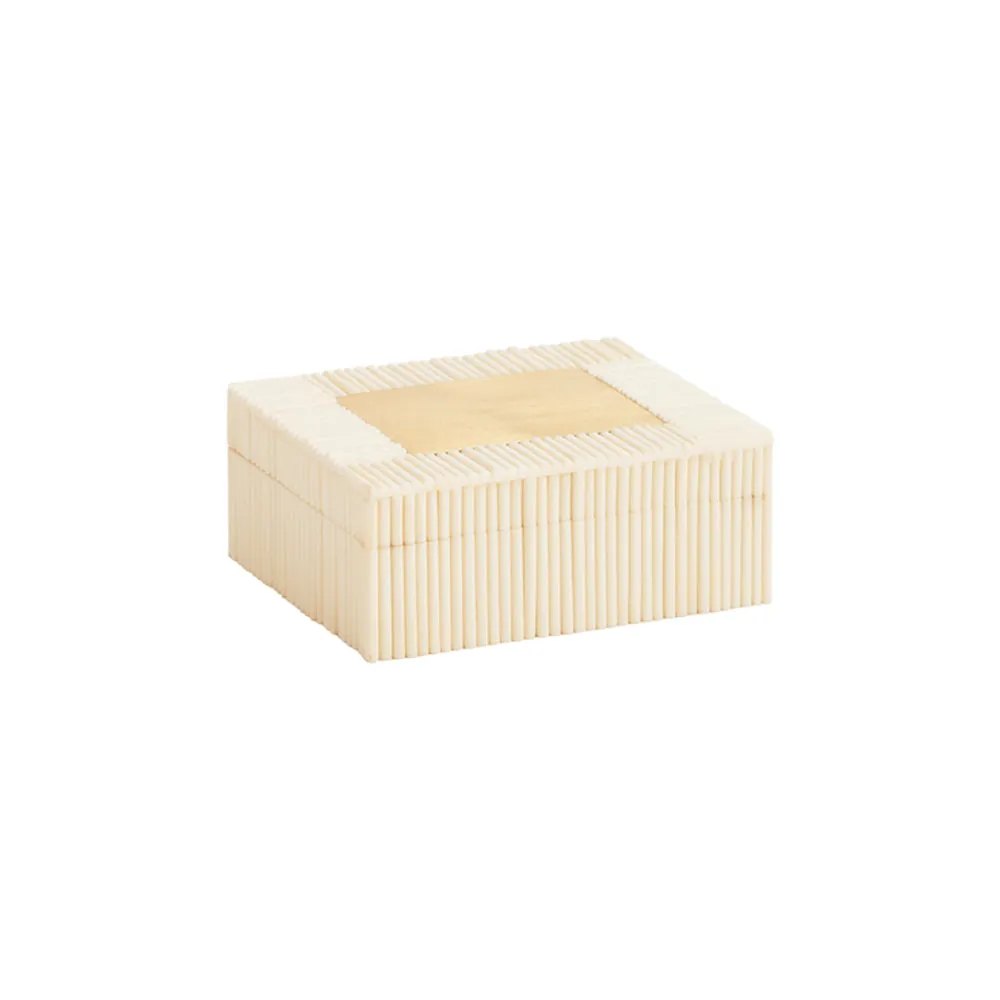 Bone and Brass Trinket Box