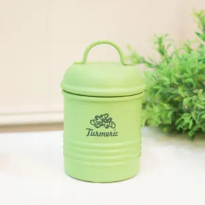 Ferrous Fun Turmeric Storage Container (1000 ML) - Green