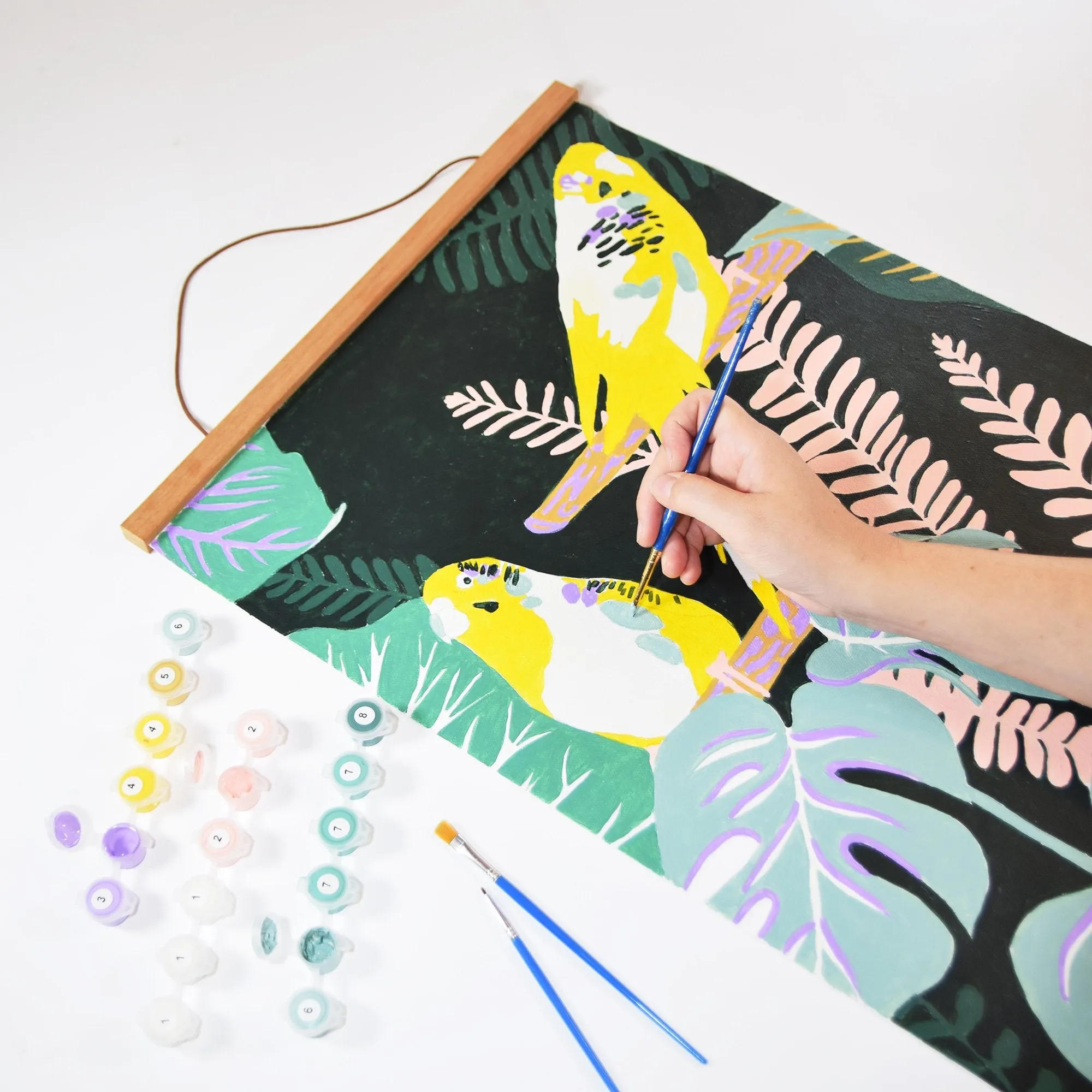 Paint By Numbers Kit (Budgies)