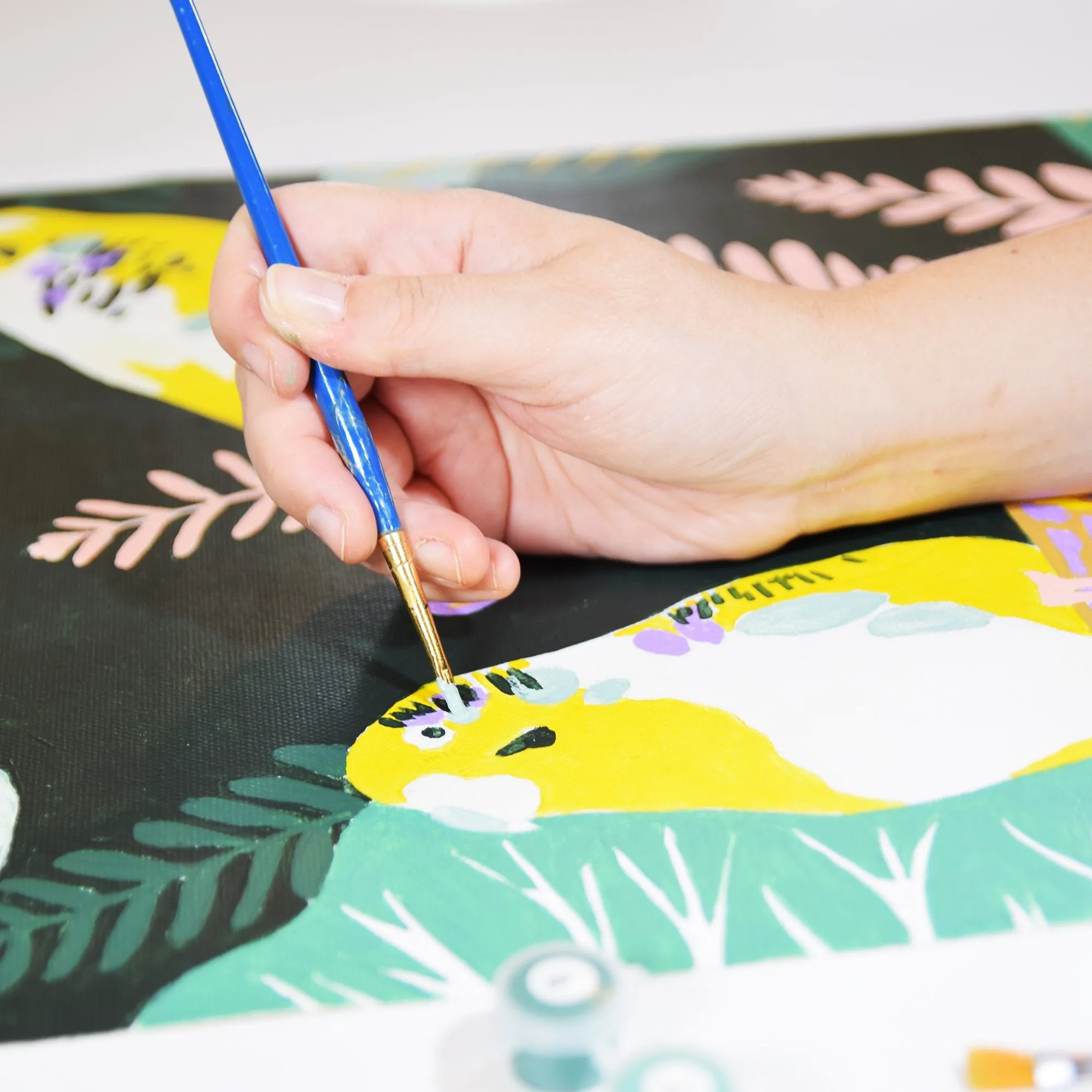 Paint By Numbers Kit (Budgies)