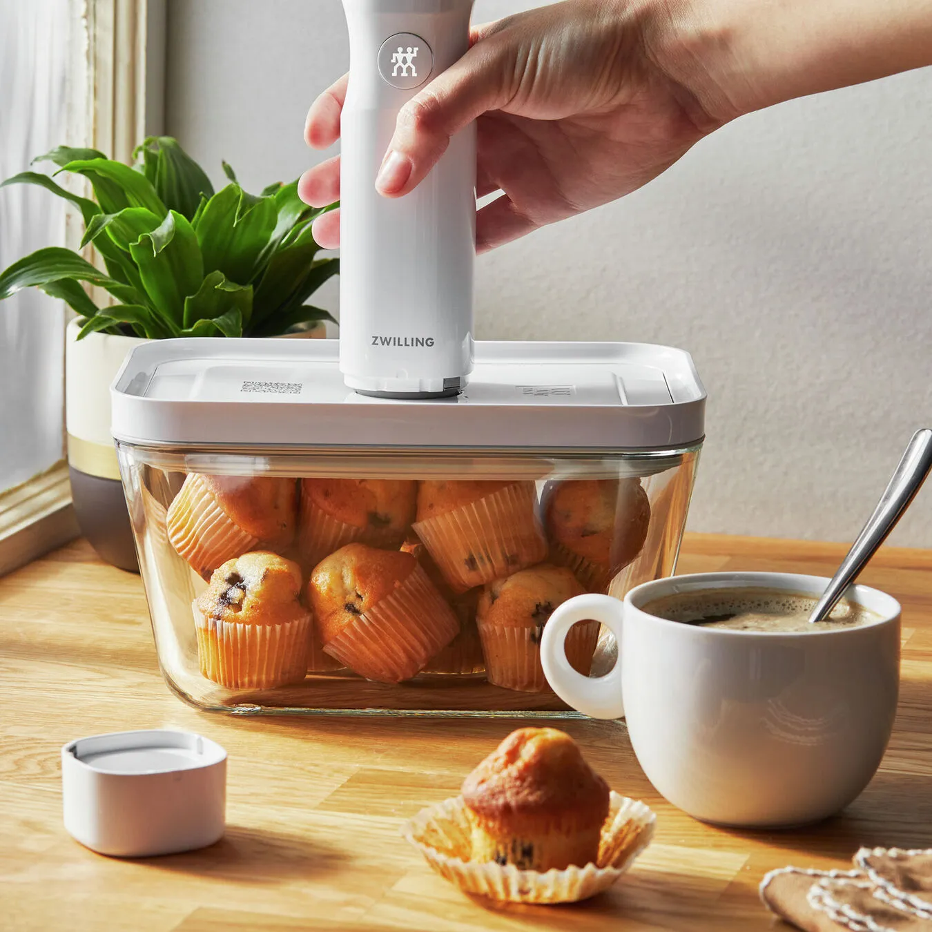 ZWILLING Fresh & Save Glass Vacuum Starter Set (32-Pc) Flash Sale